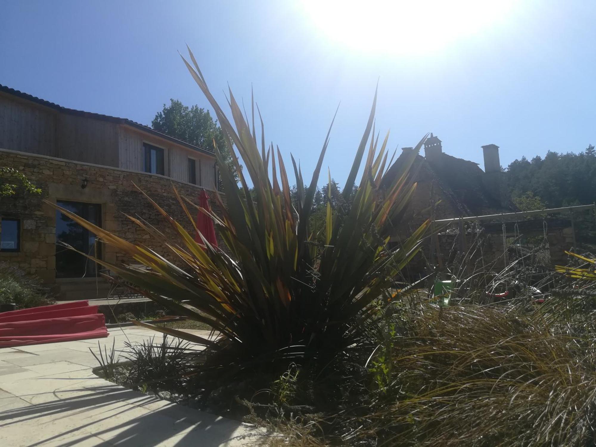 Gite Les Combes Montignac Lascaux Exterior photo
